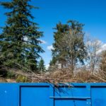 Spring,Gardening,,Big,Cleanup,And,Maintenance,Project,,Large,Blue,Dumpster